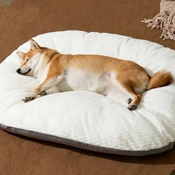 NWT- MEDUIM SUPER SOFT PET BED - Picture 10 of 10